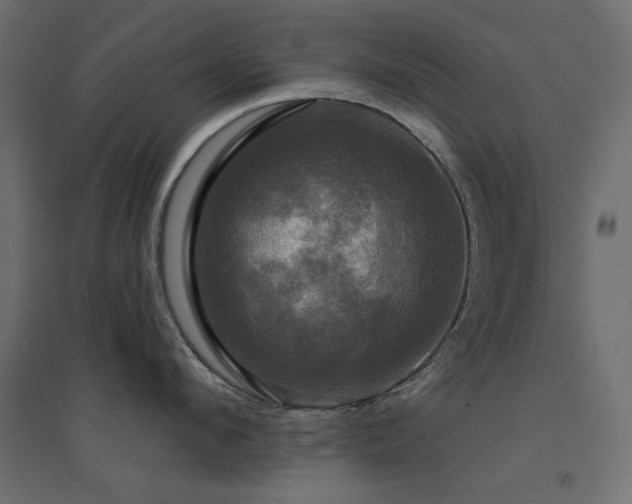 X0000094900912200711291229