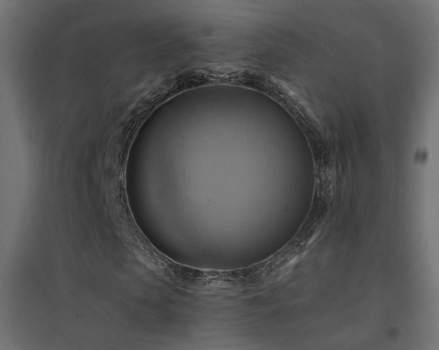 X0000094900913200711291228