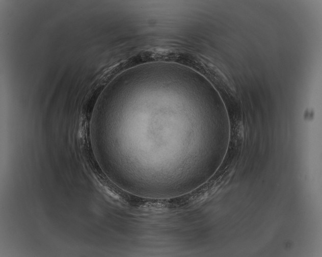 X0000094900914200711291228