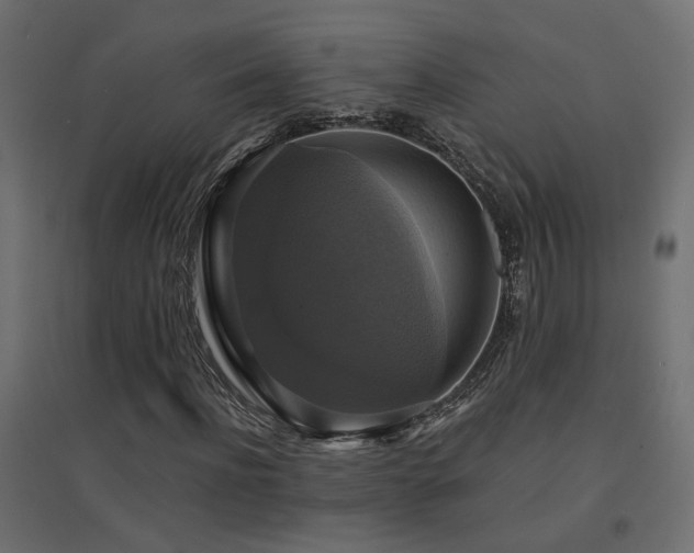 X0000094900916200711291228