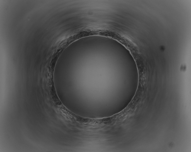 X0000094900917200711291228