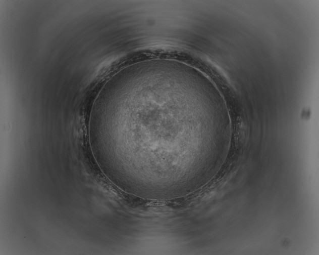 X0000094900918200711291228