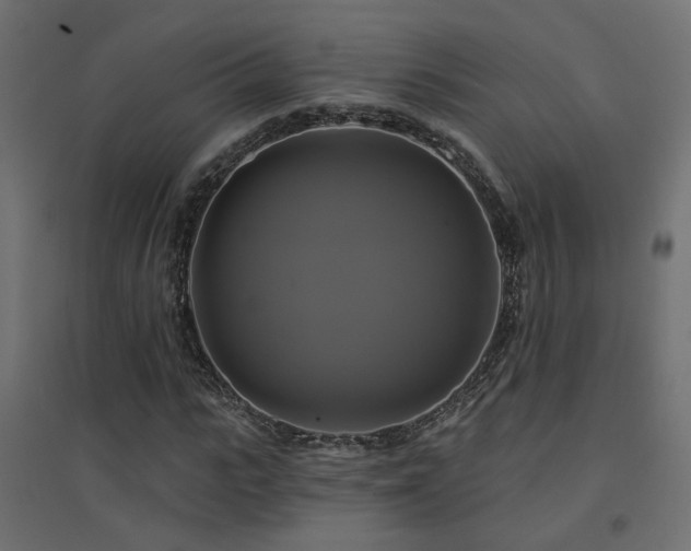 X0000094900919200711291228