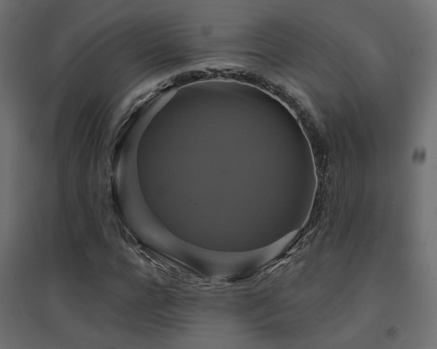 X0000094900920200711291229