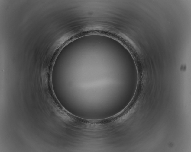 X0000094900921200711291229