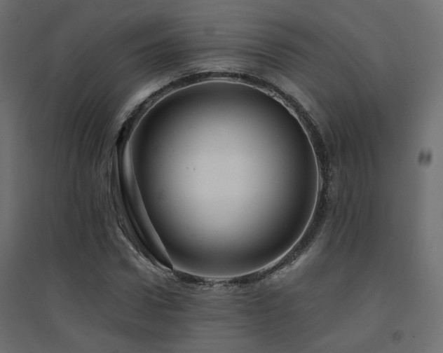 X0000094900922200711291229