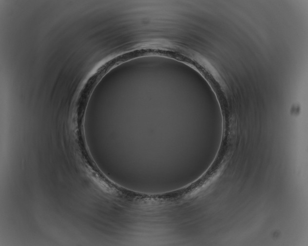 X0000094900923200711291229