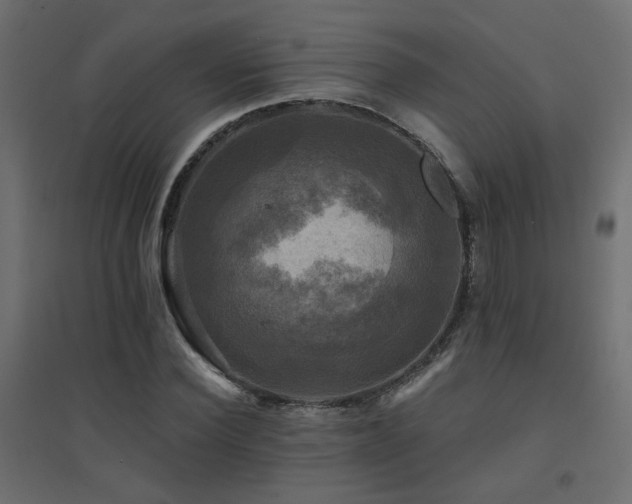 X0000094900924200711291229