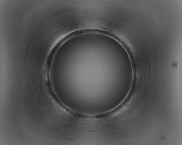 X0000094900925200711291229