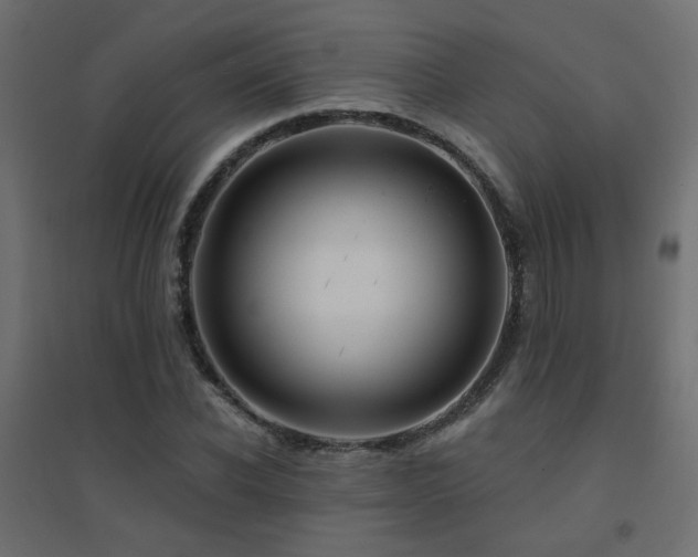 X0000094900926200711291229