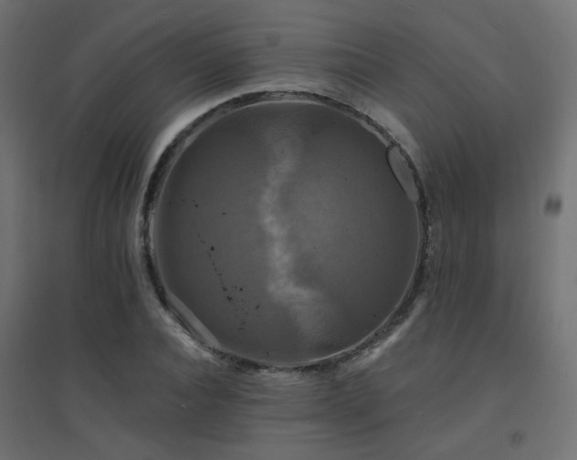 X0000094900928200711291229