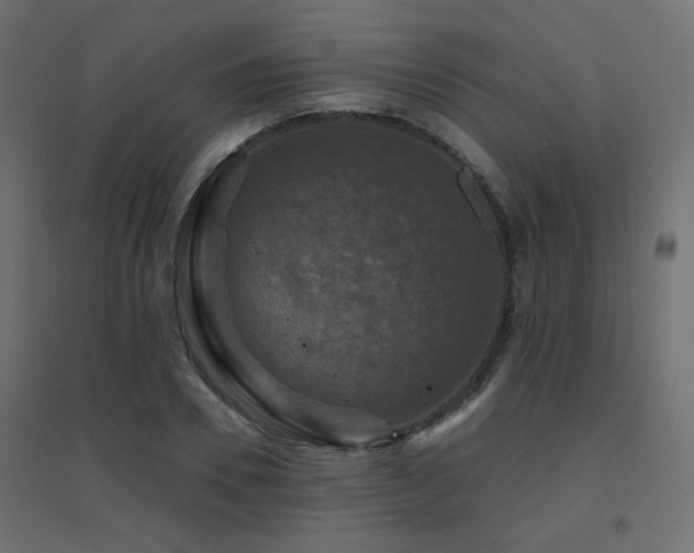 X0000094900930200711291229