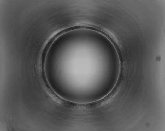 X0000094900931200711291229