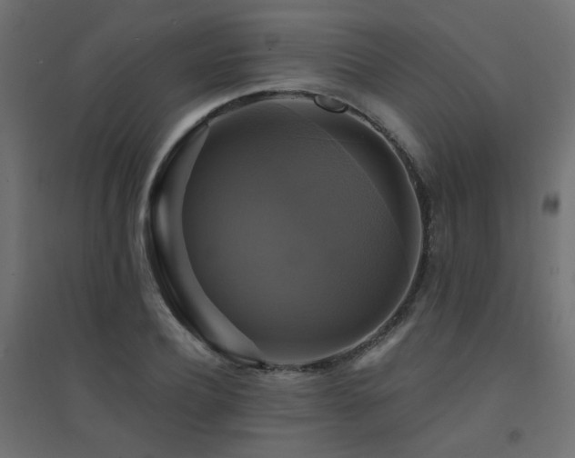 X0000094900932200711291229