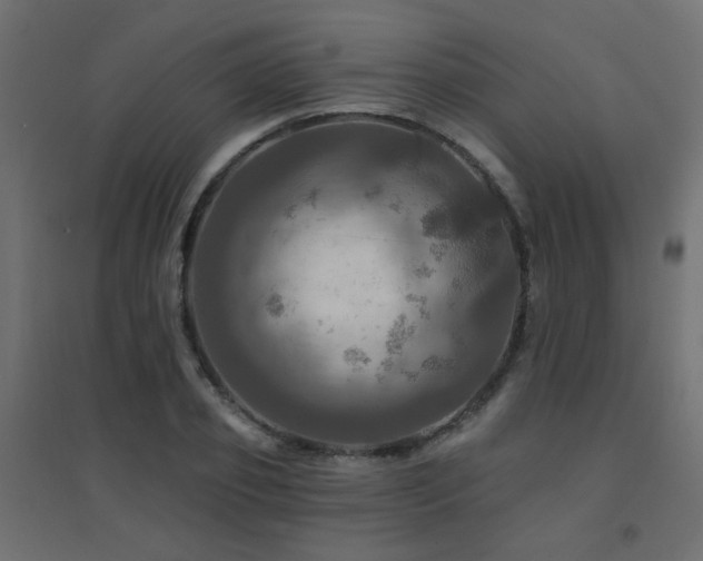X0000094900933200711291229
