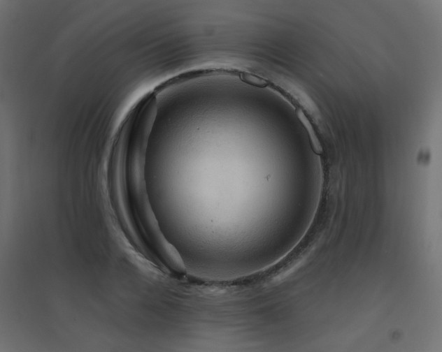 X0000094900936200711291229
