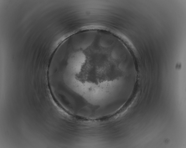 X0000094900937200711291229