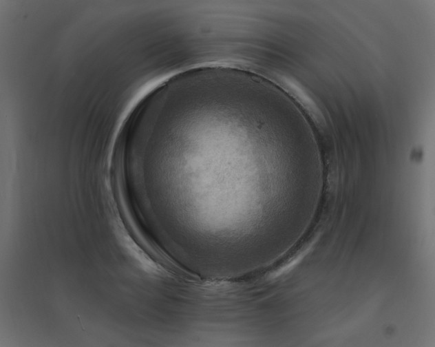X0000094900940200711291229