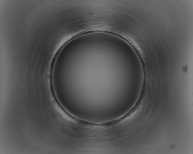 X0000094900941200711291229