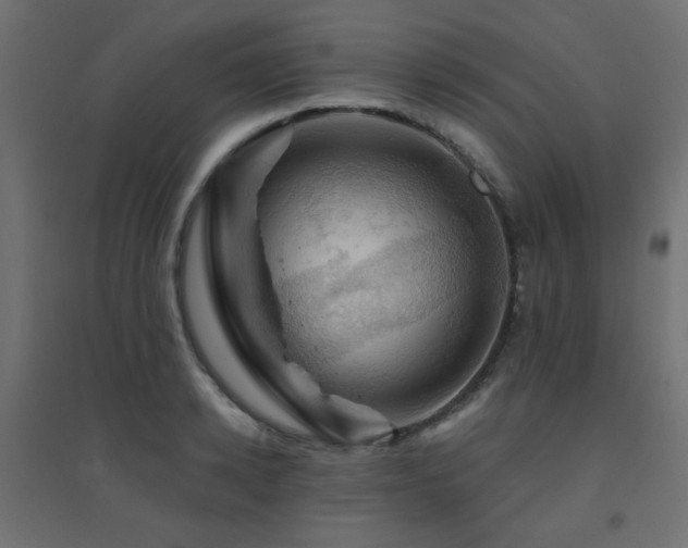 X0000094900942200711291229