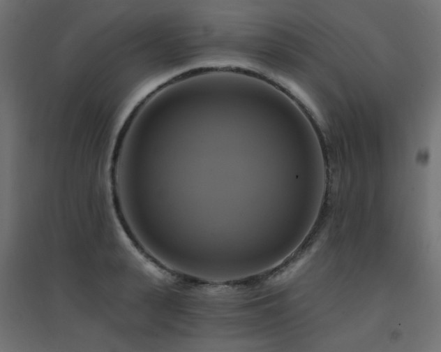 X0000094900943200711291229
