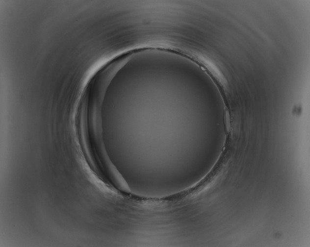 X0000094900944200711291229