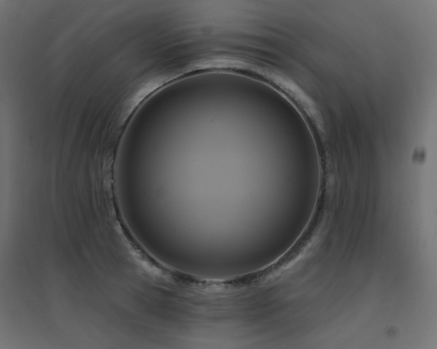 X0000094900945200711291229