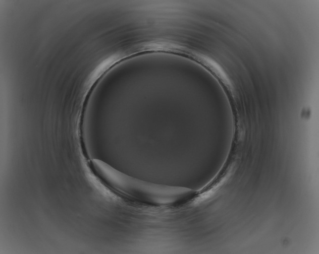 X0000094900946200711291229