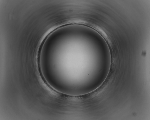 X0000094900947200711291229