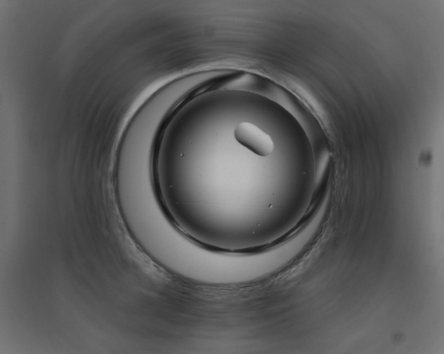 X0000094900948200711291229