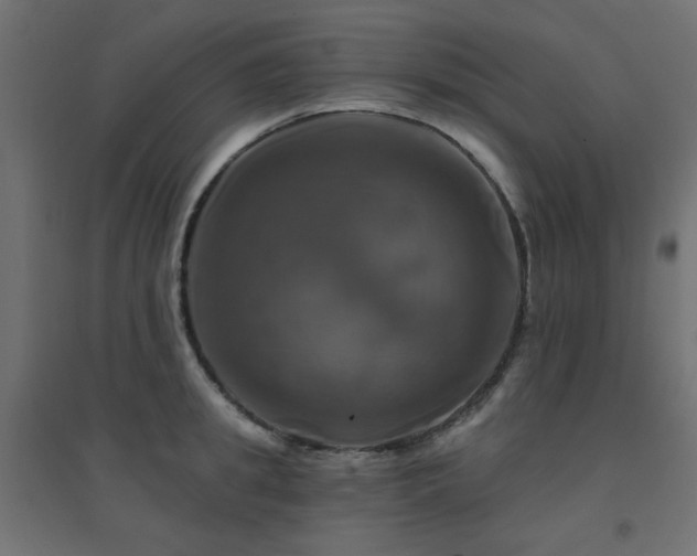 X0000094900949200711291229