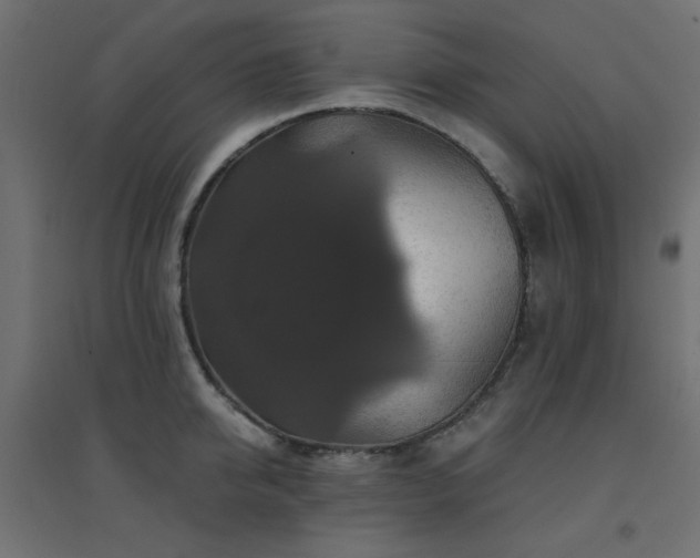X0000094900950200711291229