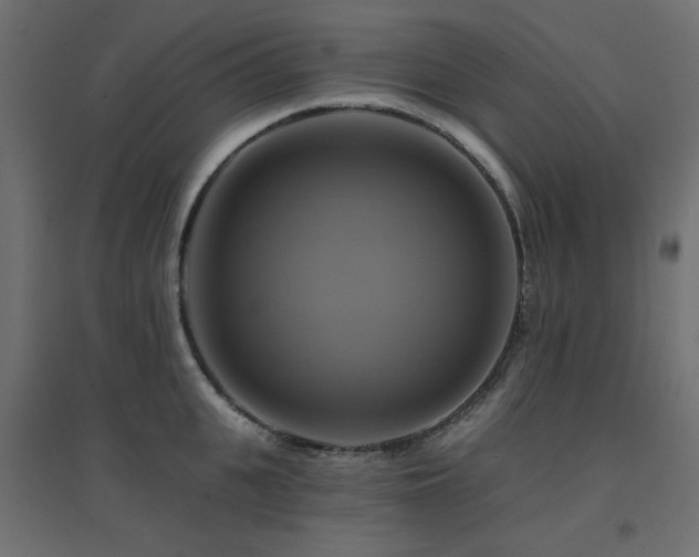 X0000094900951200711291229