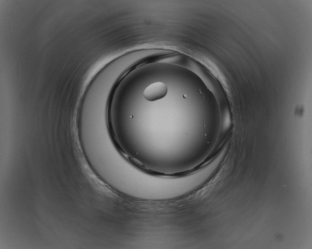 X0000094900952200711291229