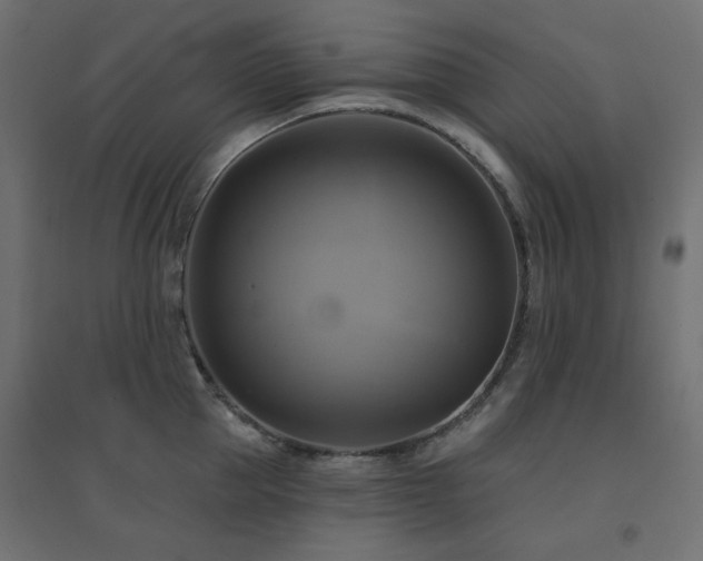 X0000094900953200711291229