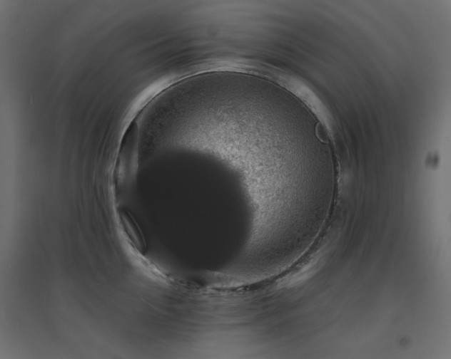 X0000094900954200711291229
