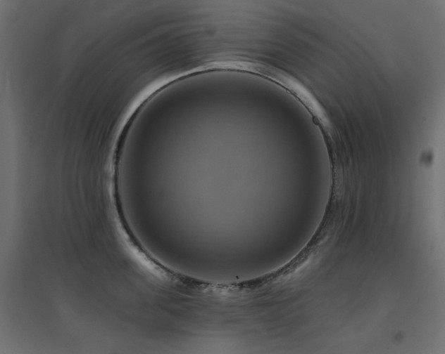 X0000094900955200711291229