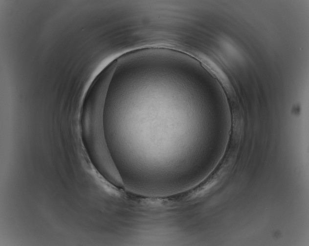 X0000094900956200711291229