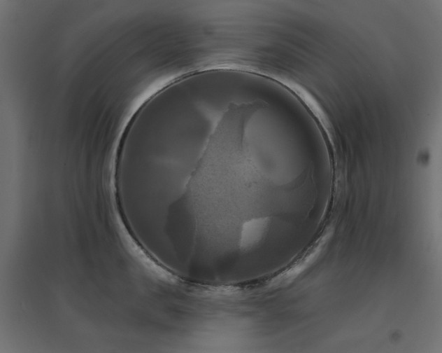 X0000094900957200711291229