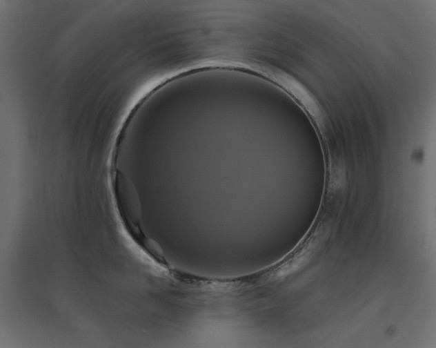X0000094900958200711291229