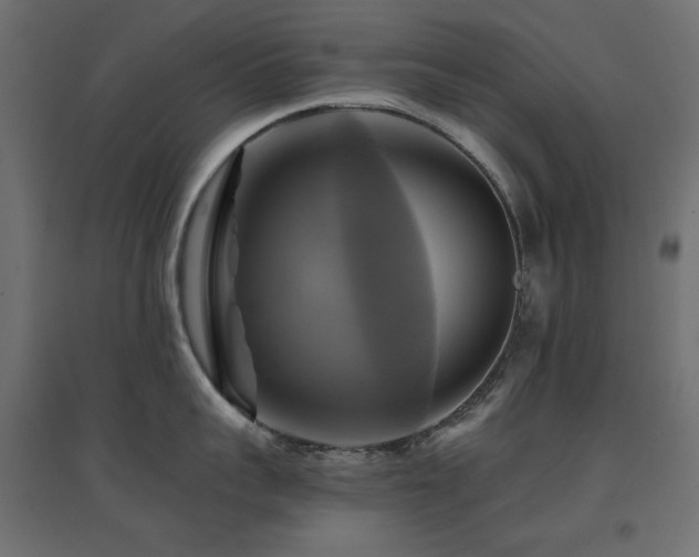 X0000094900959200711291229