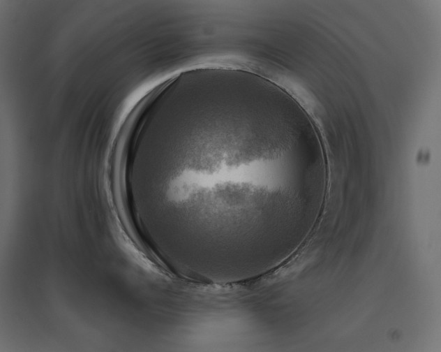 X0000094900960200711291229
