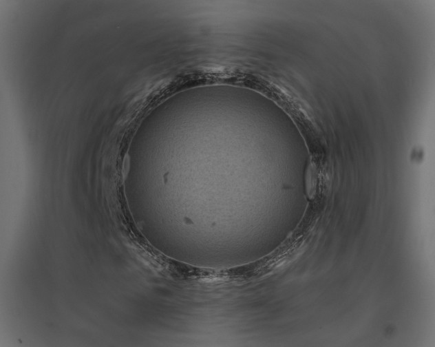 X0000094900961200711291228