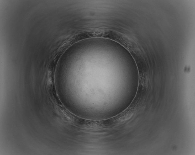 X0000094900962200711291228
