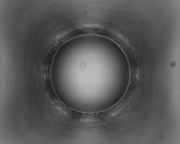 X0000094900965200711291228