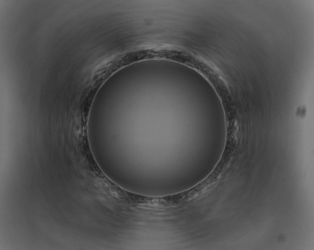 X0000094900966200711291228