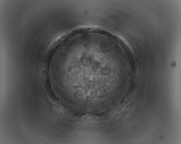 X0000094900967200711291228