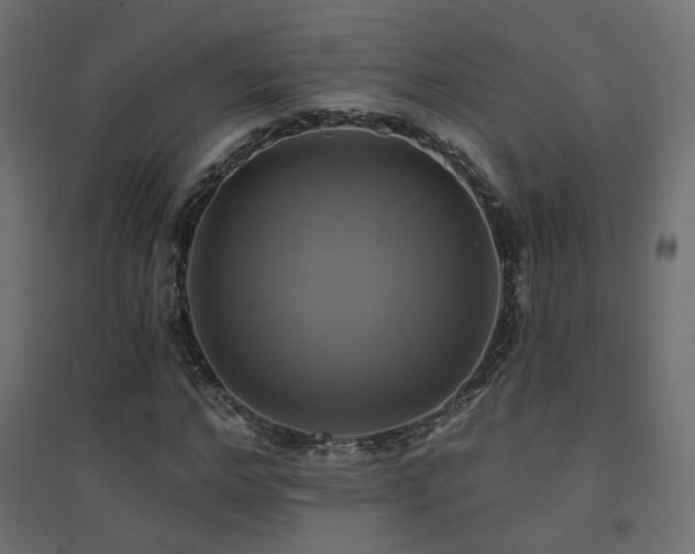 X0000094900968200711291228