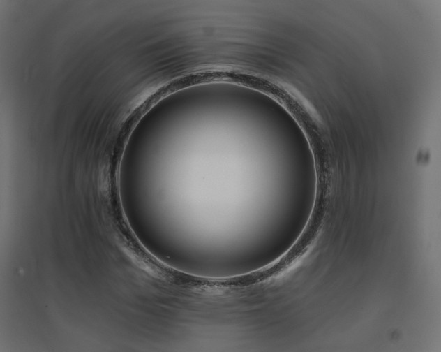 X0000094900969200711291228