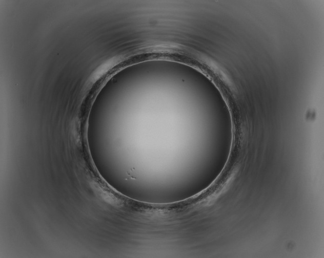 X0000094900970200711291228